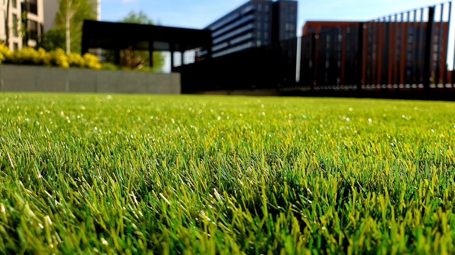 Restored, well-kept lawn and landscaping